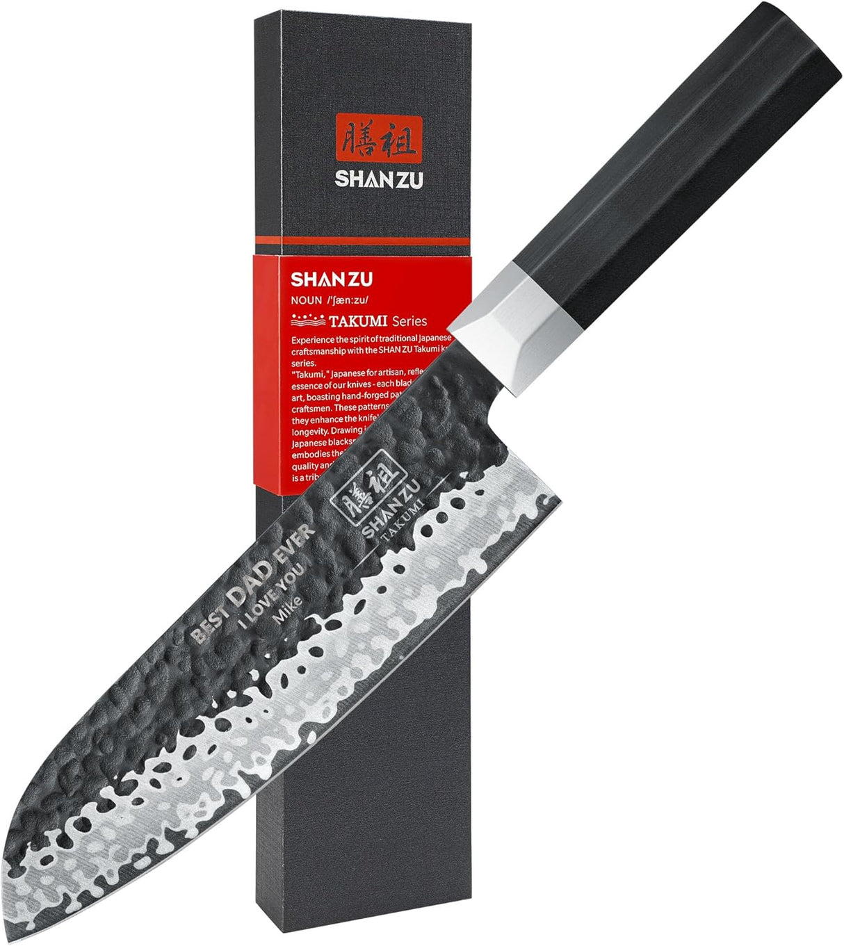 Takumi Japanese Gyuto Chef Knife+MAGNETIC KNIFE HOLDER