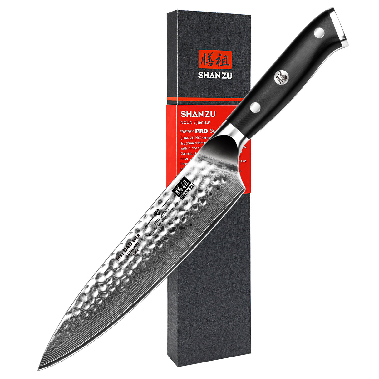 PRO Damascus Chef Knife Plus+MAGNETIC KNIFE HOLDER