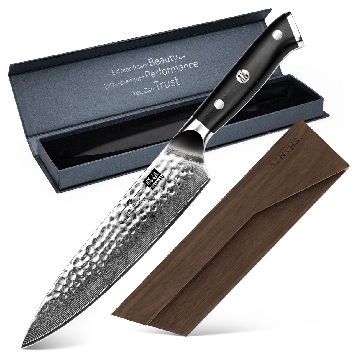 PRO Damascus Chef Knife Plus+MAGNETIC KNIFE HOLDER