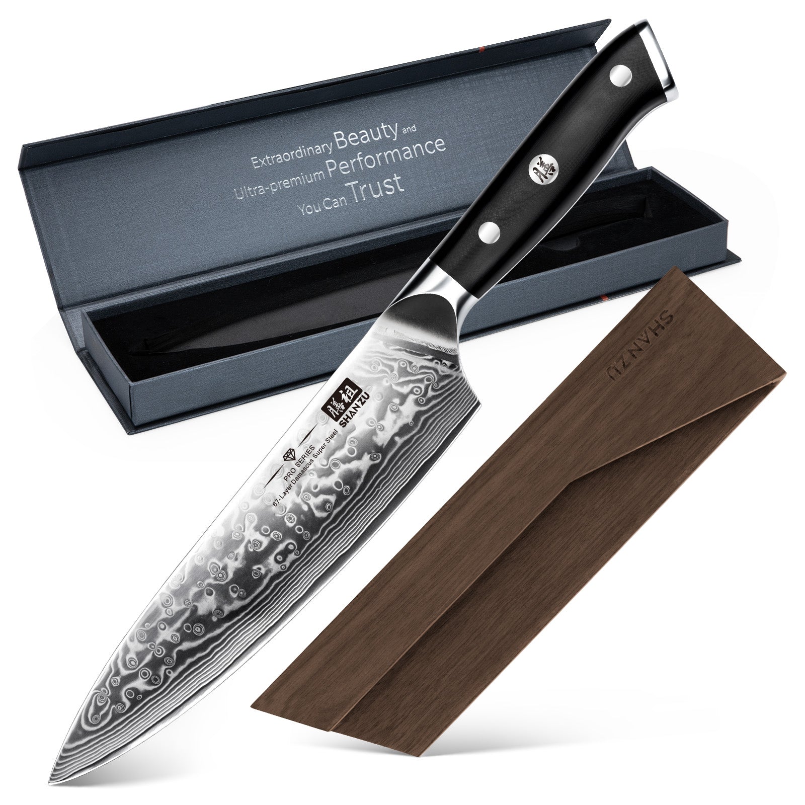 PRO Damascus Chef Knife+MAGNETIC KNIFE HOLDER