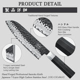 Takumi Japanese Gyuto Santoku Knife
